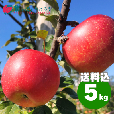 シナノスイート 5kg | タムラファームショップ